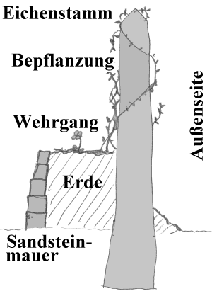 Bild:Palisadenaufbau